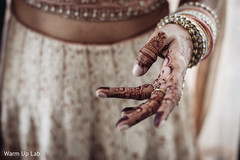 Wonderful Indian bridal mehndi art. Wonderful Indian bridal mehndi art.
