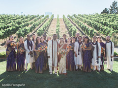 Magnificent Indian wedding couple with bridesmaids and groomsmen portrait. Magnificent Indian wedding couple with bridesmaids and groomsmen portrait.
