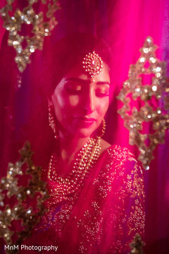 Colorful capture of the beautiful maharani Colorful capture of the beautiful maharani