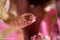 Beautiful capture of a rose petal on the maharani's hands Beautiful capture of a rose petal on the maharani's hands
