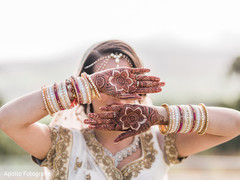 Perfect indian bridal mehndi art Perfect indian bridal mehndi art