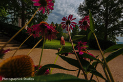 Outdoor gardens Indian wedding photo shoot. Outdoor gardens Indian wedding photo shoot.