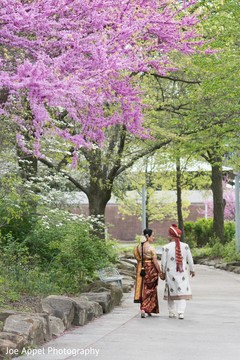 Striking capture of the Indian bride and groom walking under a pink tree Striking capture of the Indian bride and groom walking under a pink tree