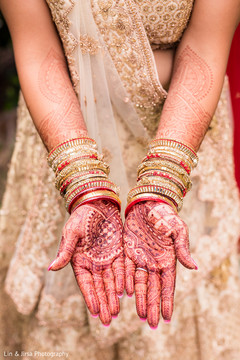 Amazing mehndi design on the maharani's hands Amazing mehndi design on the maharani's hands