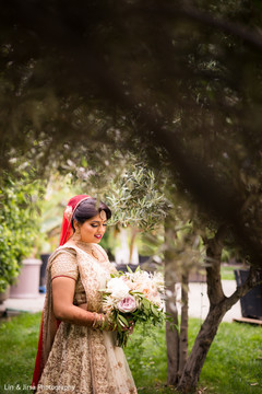 Portrait of the beautiful Indian bride outdoors Portrait of the beautiful Indian bride outdoors