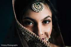 Don't miss this beautiful maharani portrait Don't miss this beautiful maharani portrait