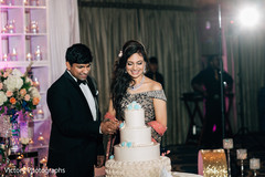 Indian newlyweds cutting the cake scene Indian newlyweds cutting the cake scene