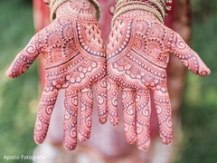 Intricate indian bride mehndi art Intricate indian bride mehndi art