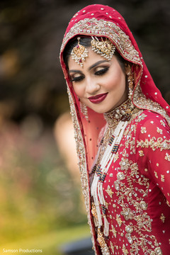 Capture of the dazzling maharani outdoors