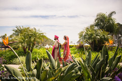 Incredible shot of the Indian couple walking in nature Incredible shot of the Indian couple walking in nature