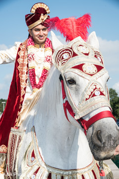 Indian groom riding baraat horse Indian groom riding baraat horse