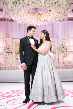 Adorable indian lovebirds Adorable indian lovebirds