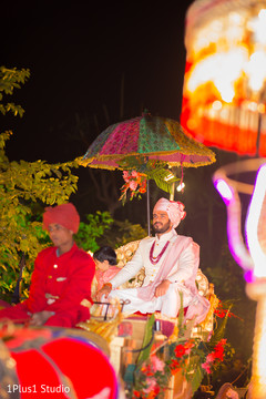 Elegant Raja in his throne