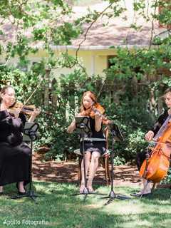 Capture of the amazing live string band outdoors Capture of the amazing live string band outdoors