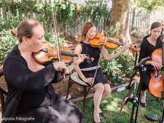 Capture of the string band outdoors Capture of the string band outdoors