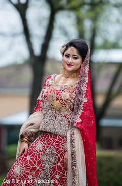 Fabulous indian bride's portrait Fabulous indian bride's portrait