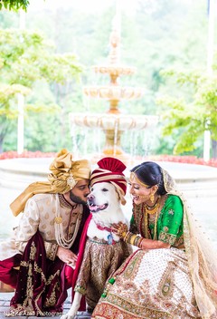 Tender moment between the Indian couple and dog Tender moment between the Indian couple and dog