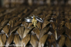 Stunning Indian wedding bands portrait. Stunning Indian wedding bands portrait.