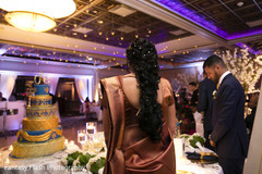 Special moment at Indian wedding reception capture. Special moment at Indian wedding reception capture.