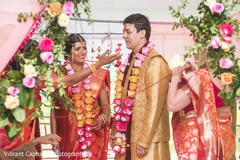 Dazzling indian lovebirds getting the lazo on. Dazzling indian lovebirds getting the lazo on.