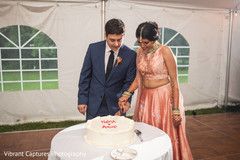 Lovely indian couple cutting the cake. Lovely indian couple cutting the cake.