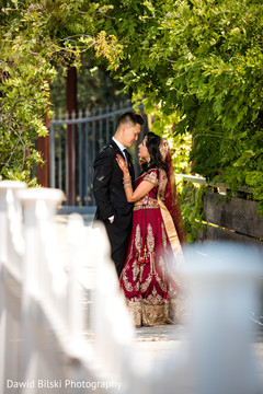 See this lovely capture of Indian lovebirds See this lovely capture of Indian lovebirds