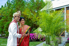 Adorable Indian lovebirds outdoors capture. Adorable Indian lovebirds outdoors capture.