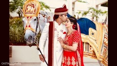 Indian lovebirds photography. Indian lovebirds photography.