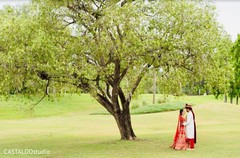 Adorable Indian lovebirds first look. Adorable Indian lovebirds first look.