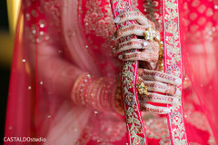Maharanis veil closeup capture. Maharanis veil closeup capture.