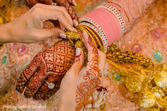 Details of Maharani's mehndi design Details of Maharani's mehndi design
