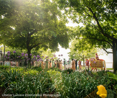 Unique Indian baraat procession. Unique Indian baraat procession.