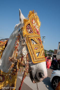Beautiful ghodi waiting for the Raja to begin the Baraat Beautiful ghodi waiting for the Raja to begin the Baraat