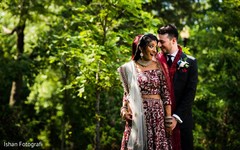 Fun capture of Indian lovebirds outdoors Fun capture of Indian lovebirds outdoors