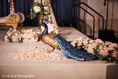Incredible Indian wedding reception Peacock decoration. Incredible Indian wedding reception Peacock decoration.