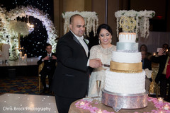 Indian wedding reception cutting the cake scene Indian wedding reception cutting the cake scene
