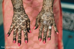 Stunning Indian bridal henna art capture. Stunning Indian bridal henna art capture.