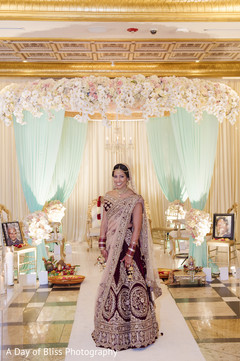Dazzling Maharani under the decoration Dazzling Maharani under the decoration