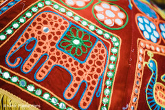 Wonderful elephant embroidery with mirrors capture. Wonderful elephant embroidery with mirrors capture.