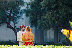 Indian lovebirds magical capture. Indian lovebirds magical capture.