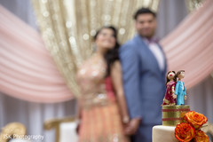 Marvelous Indian wedding cake topper capture. Marvelous Indian wedding cake topper capture.