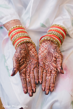 Mehndi design details of the Maharani Mehndi design details of the Maharani