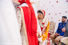 Beautiful Maharani holding the Raja's hand Beautiful Maharani holding the Raja's hand