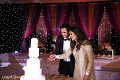 Indian couple cutting cake moment. Indian couple cutting cake moment.