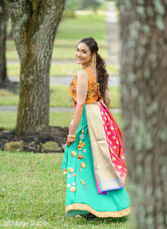 Dazzling Maharani wearing the colorful sari Dazzling Maharani wearing the colorful sari