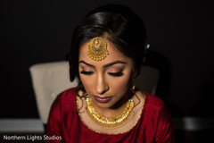 Incredible Indian bridal tikka. Incredible Indian bridal tikka.