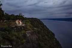Amazing shot of Indian lovebirds outdoors Amazing shot of Indian lovebirds outdoors