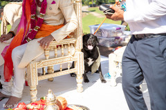 Special canine guest during the ceremony Special canine guest during the ceremony