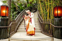 Indian lovebirds posing outdoors. Indian lovebirds posing outdoors.