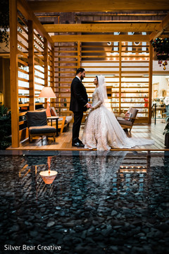 Incredible capture of Indian lovebirds first look. Incredible capture of Indian lovebirds first look.